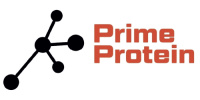 Prime Protein (Swansea Junior Football League)