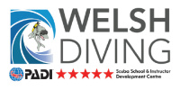 Welsh Diving (Swansea Junior Football League)