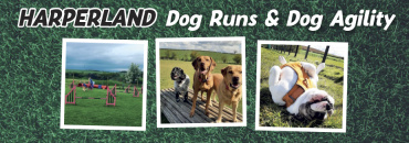 Harperland Dog Runs & Dog Agility