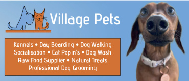 Village Pets