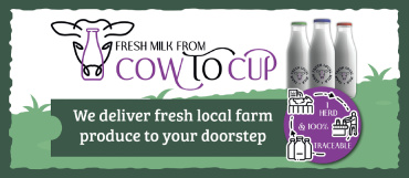 Cow to Cup