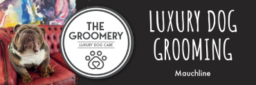 The Groomery Ltd